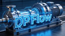 DP-Flow