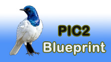 pic2bp